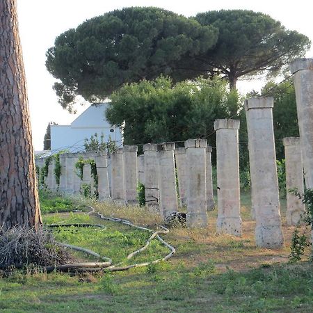 Agriturismo Occhineri 切萨雷奥港 外观 照片