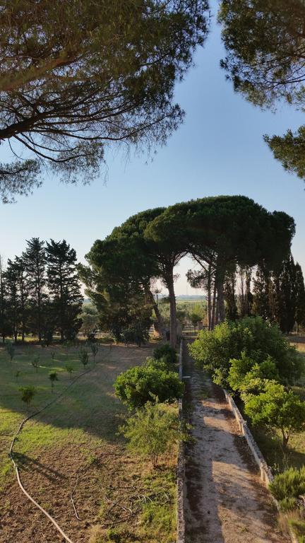 Agriturismo Occhineri 切萨雷奥港 外观 照片