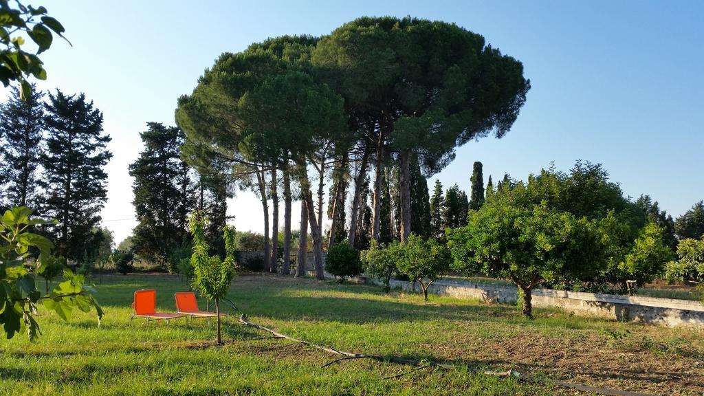 Agriturismo Occhineri 切萨雷奥港 外观 照片