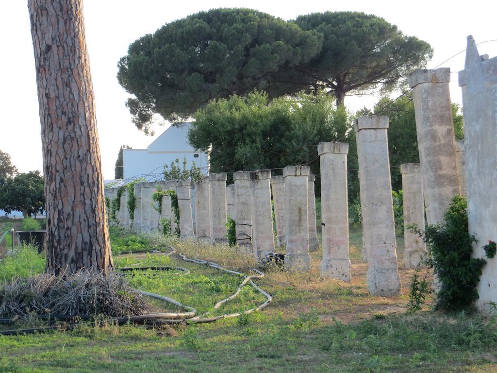 Agriturismo Occhineri 切萨雷奥港 外观 照片