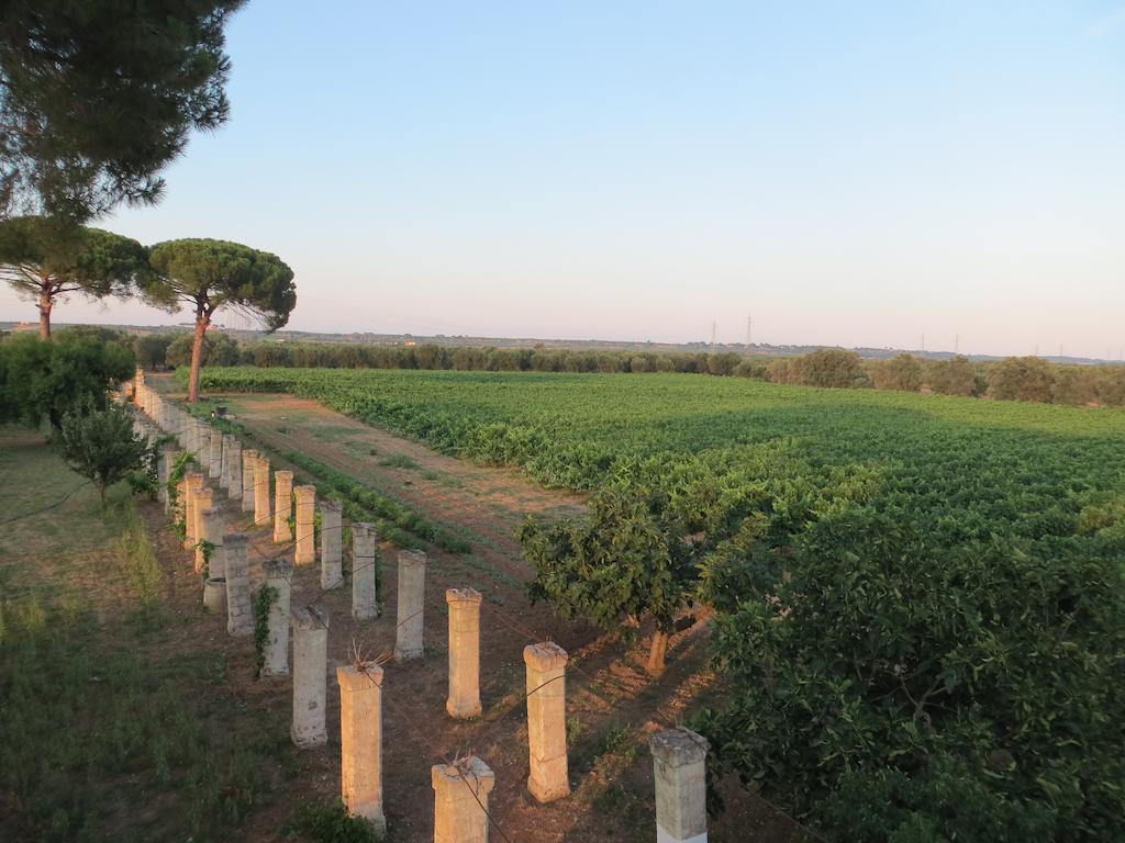 Agriturismo Occhineri 切萨雷奥港 外观 照片