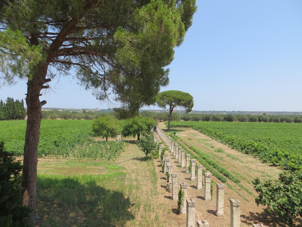 Agriturismo Occhineri 切萨雷奥港 外观 照片
